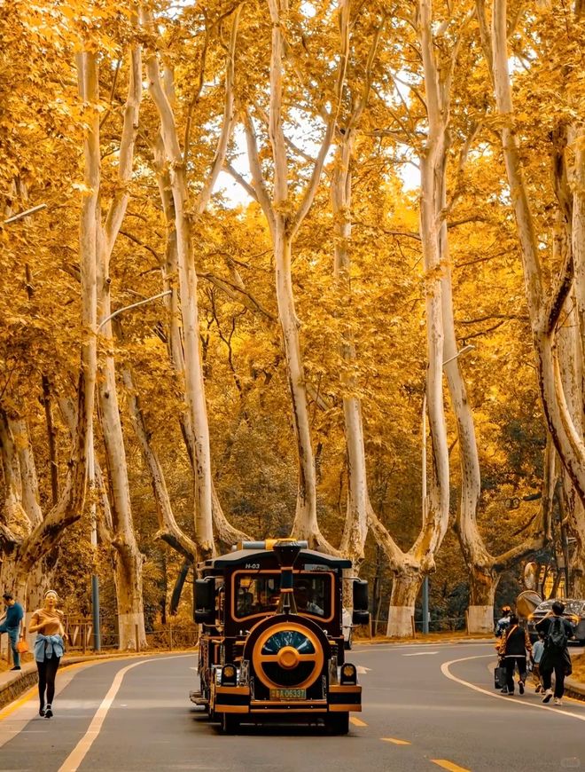 权威盘点：正规旅行社前十名榜单澳门新葡京