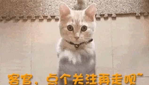 嫁丑男的她花十年时间看穿丈夫真面目澳门新葡京钟嘉欣后悔了!放弃林峯(图12) 嫁丑男的她花十年时间看穿丈夫真面目澳门新葡京钟嘉欣后悔了!放弃林峯(图12)