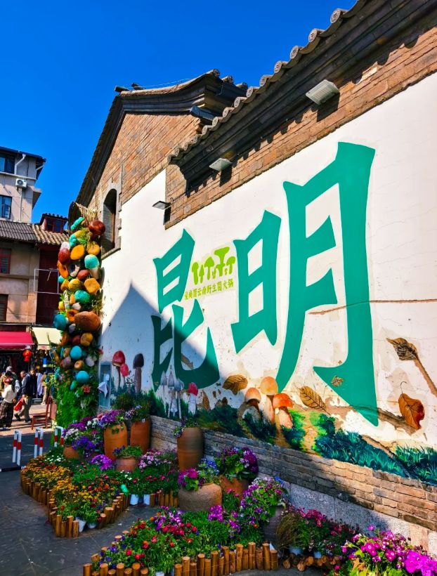 南私人导游服务价格表费用透明放心订澳门新葡京云南跟团游七天多少钱？云(图2)