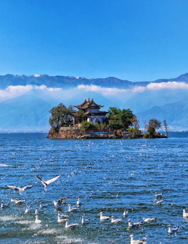 南私人导游服务价格表费用透明放心订澳门新葡京云南跟团游七天多少钱？云(图4)